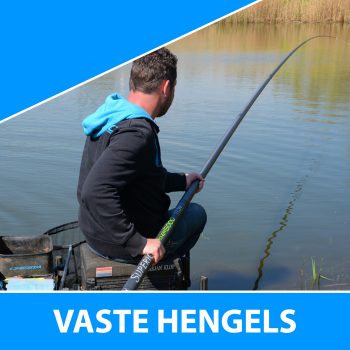 Vaste hengels