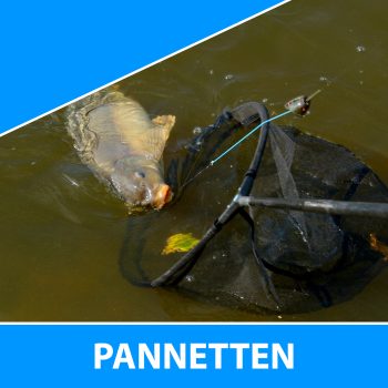 Pannetten